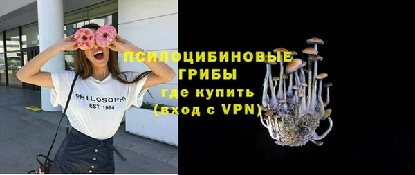 бошки Алексин