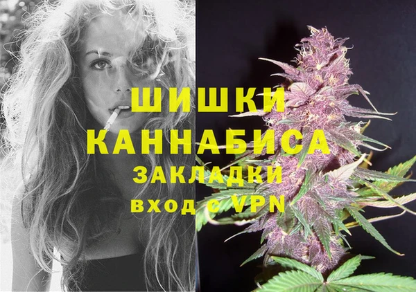 ПСИЛОЦИБИНОВЫЕ ГРИБЫ Алексеевка