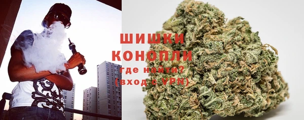 бошки Алексин
